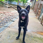 20250428-fotos-billie-14