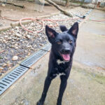 20250428-fotos-billie-15