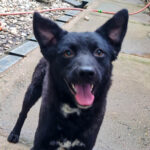 20250428-fotos-billie-16