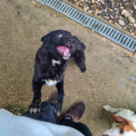 20250428-fotos-billie-18