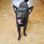 20250428-fotos-billie-2