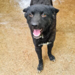 20250428-fotos-billie-3