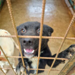 20250428-fotos-billie-4