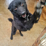 20250428-fotos-billie-5