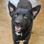 20250428-fotos-billie-8