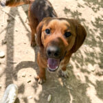 20250420-fotos-dario-4