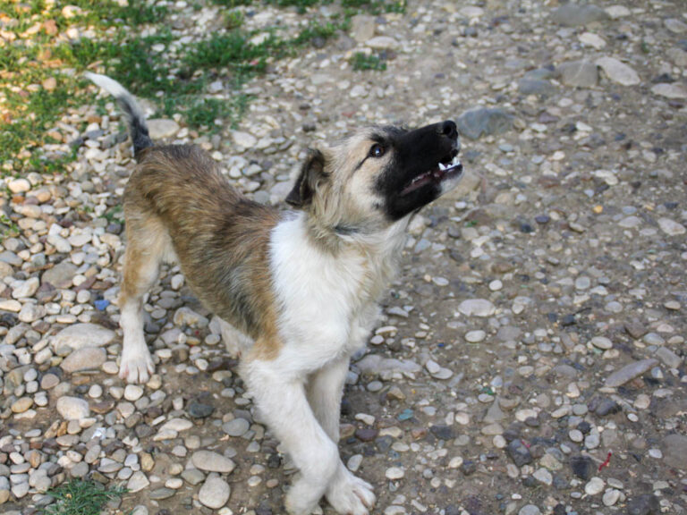 20250605-fotos-fritzi-33
