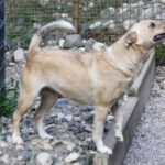 20250605-fotos-inessa-1