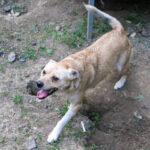 20250605-fotos-inessa-2