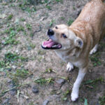 20250605-fotos-inessa-3