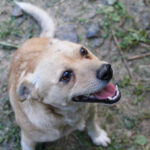 20250605-fotos-inessa-4