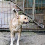 20250605-fotos-inessa-5