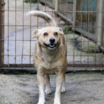 20250605-fotos-inessa-6