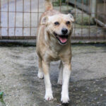 20250605-fotos-inessa-7