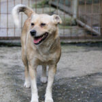 20250605-fotos-inessa-8