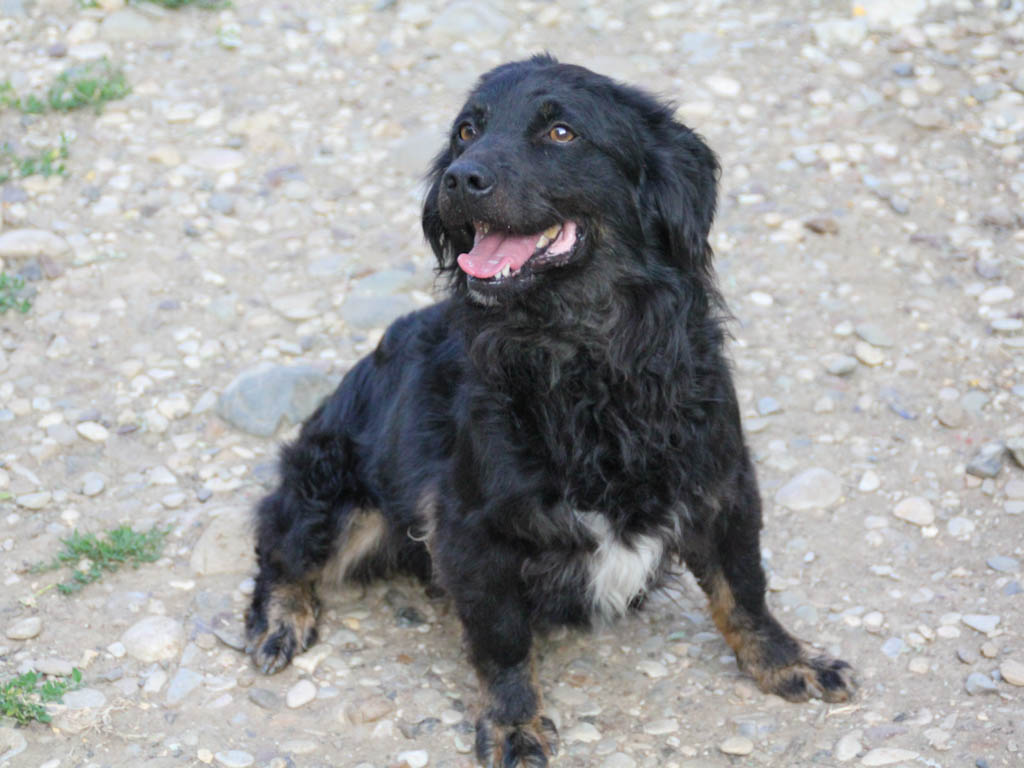 Ralf