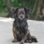 20250610-fotos-emilija-1