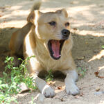 20250619-fotos-inessa-1