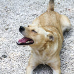 20250619-fotos-inessa-3