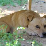 20250619-fotos-inessa-6