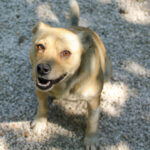 20250619-fotos-inessa-7