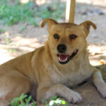 20250619-fotos-inessa-8