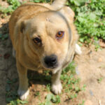 20250619-fotos-inessa-9