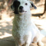 20250620-fotos-pupin-05