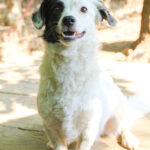20250620-fotos-pupin-17