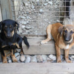 20250610-fotos-alma-04