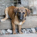 20250610-fotos-alma-06