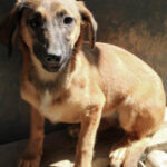 20250610-fotos-alma-21