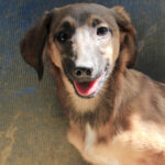 20250610-fotos-alma-26