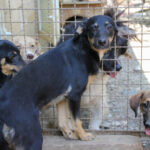 20250610-fotos-anika-1