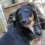 20250610-fotos-anika-3