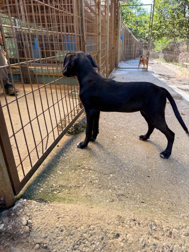 20250719-fotos-isidora-1