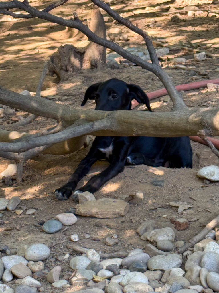 20250719-fotos-isidora-2