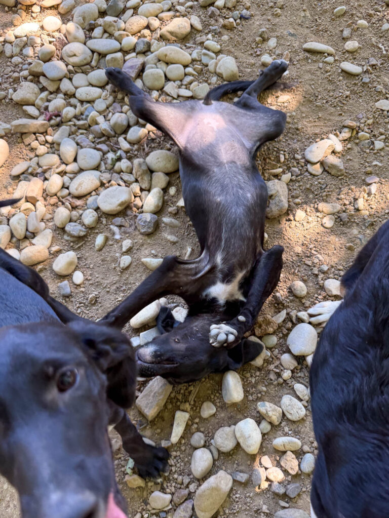 20250719-fotos-isidora-3