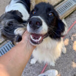 20250719-fotos-ledo-1