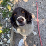 20250719-fotos-ledo-2