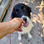 20250719-fotos-ledo-3