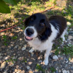 20250719-fotos-ledo-4