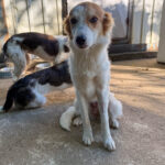 20250805-fotos-annemarie-2