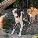 20250805-fotos-chantal-6