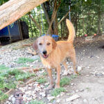 20250805-fotos-darcy-1