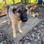 20250805-fotos-josephine-2