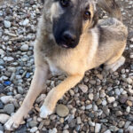 20250805-fotos-josephine-3