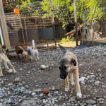 20250805-fotos-josephine-4