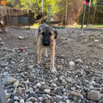 20250805-fotos-josephine-7