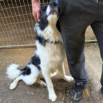 20250805-fotos-ledo-1